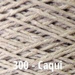 300-caqui