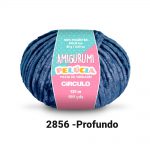 2856-profundo