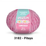 3182-pitaya