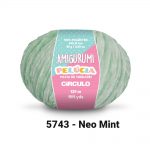 5743-neo-mint