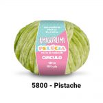 5800-pistache